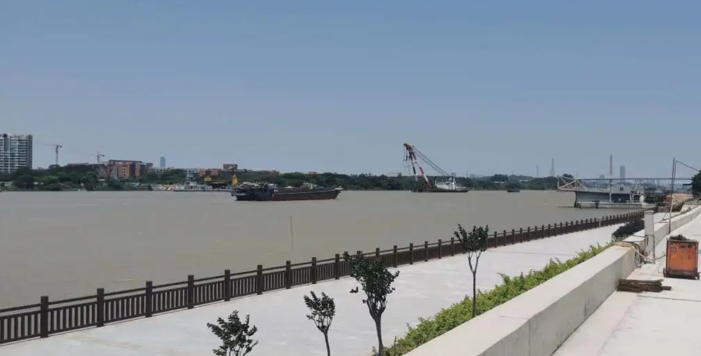 广州珠江堤防达标加固工程通过合同完工验收